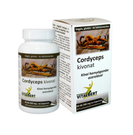 Extract de Cordyceps sinensis (ciuperca medicinala), 500 mg (doza pentru o luna), 60 capsule