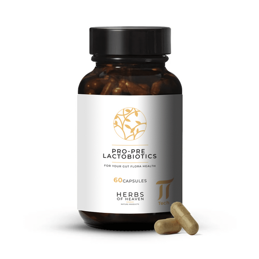 Lactobiotics Pre- și Probiotice – 60 capsule